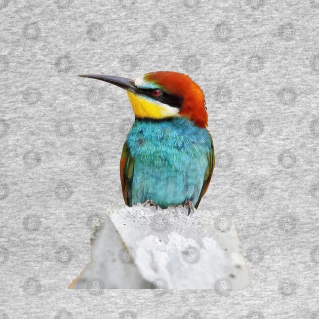 Brightly Colored European Bee Eater Vector Art by taiche